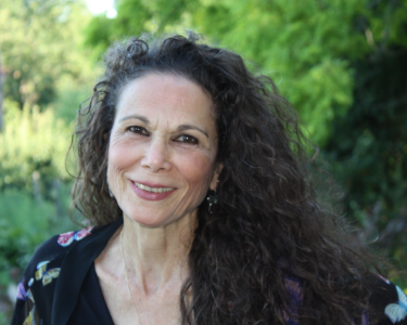 The Writer's Studio Craft Talk With Julia Alvarez: When Less is More–A Love Affair with the Short, Lyrical Novel The Writer's Studio Craft Talk With Julia Alvarez: When Less is More–A Love Affair with the Short, Lyrical Novel